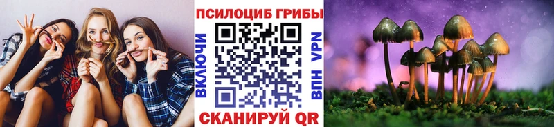 Галлюциногенные грибы ЛСД  Купить закладки  Козьмодемьянск 